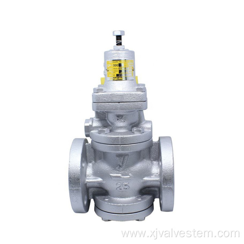 Pilot operated steam pressure reducing valve products